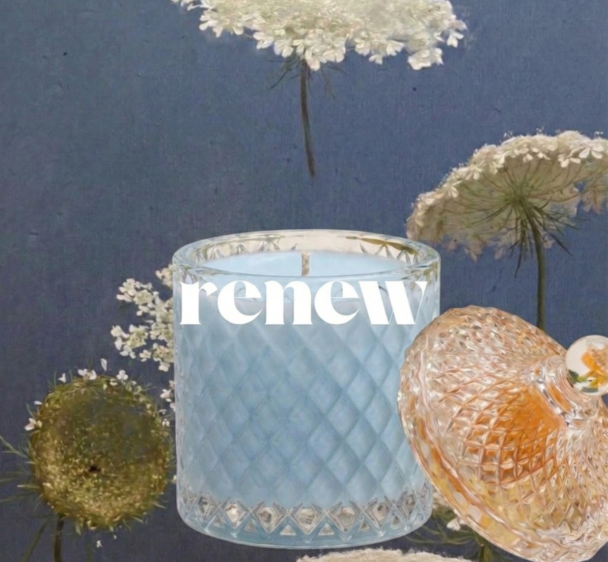 Renew